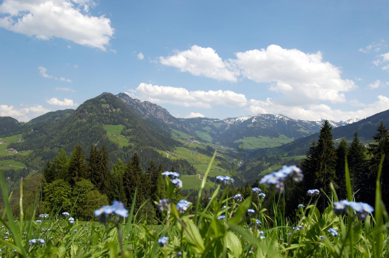 Bergchalet Rauchenhof Reith im Alpbachtal Eksteriør bilde